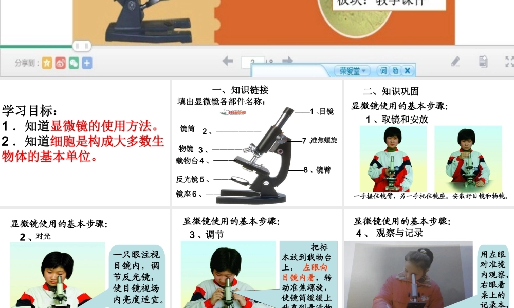 解开生物体结构的秘密 (2)