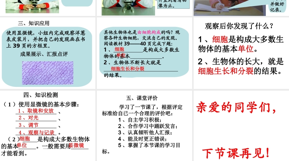 解开生物体结构的秘密 (2)