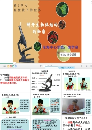 解开生物体结构的秘密 (2)