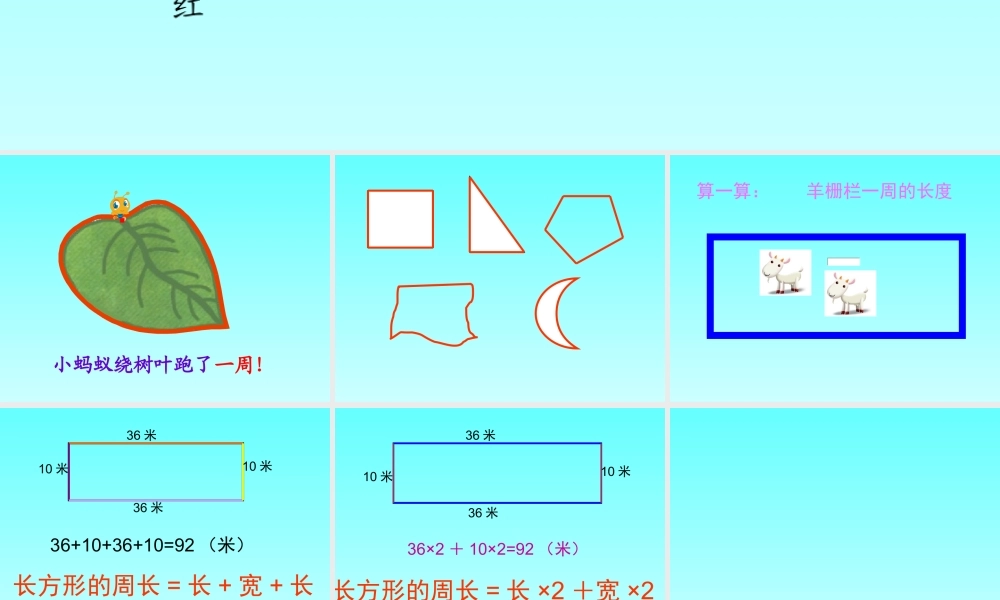 人教新课标数学三年级上册《周长1》PPT课件