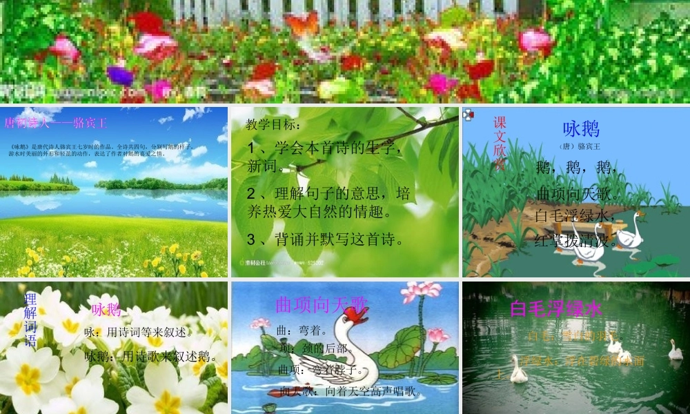 大陆四校马丽芝《咏鹅》课件1——12