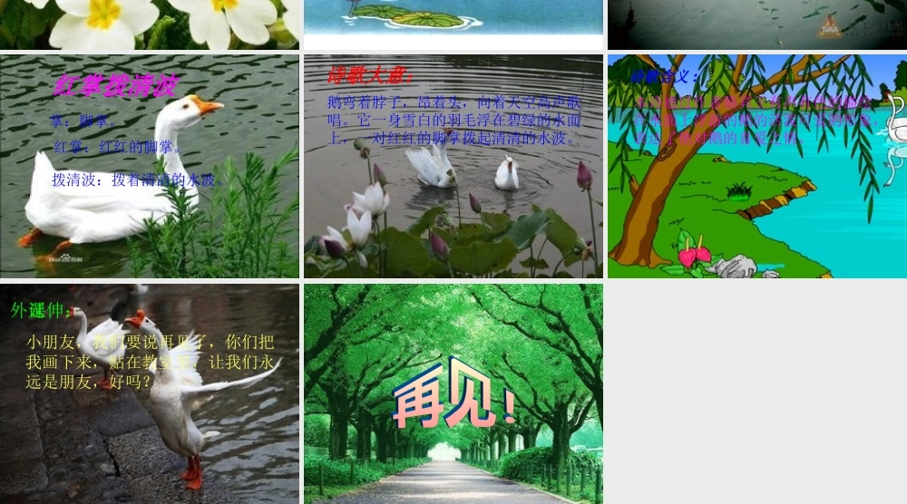 大陆四校马丽芝《咏鹅》课件1——12