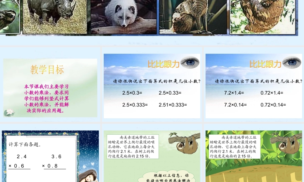 (北师大版)四年级数学下册课件_爬行最慢的哺乳动物1[1]