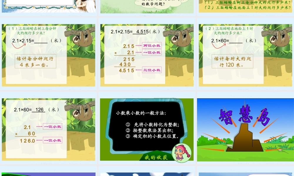 (北师大版)四年级数学下册课件_爬行最慢的哺乳动物1[1]