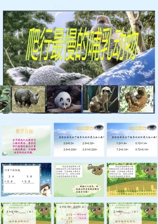 (北师大版)四年级数学下册课件_爬行最慢的哺乳动物1[1]