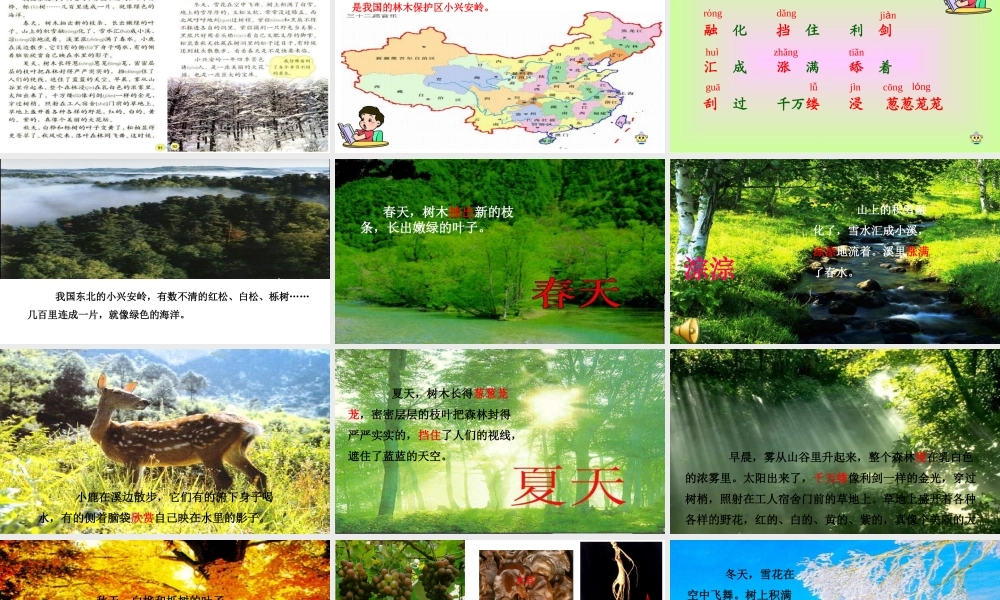 美丽的小兴安岭-杨继先