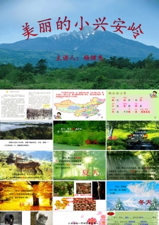 美丽的小兴安岭-杨继先