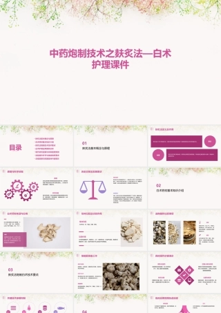 中药炮制技术之麸炙法—白术护理课件