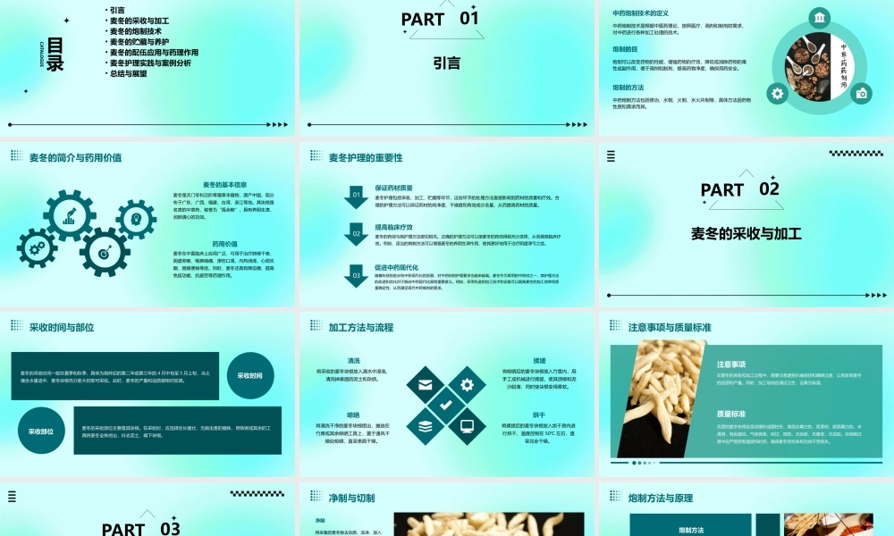 中药炮制技术之麦冬护理课件