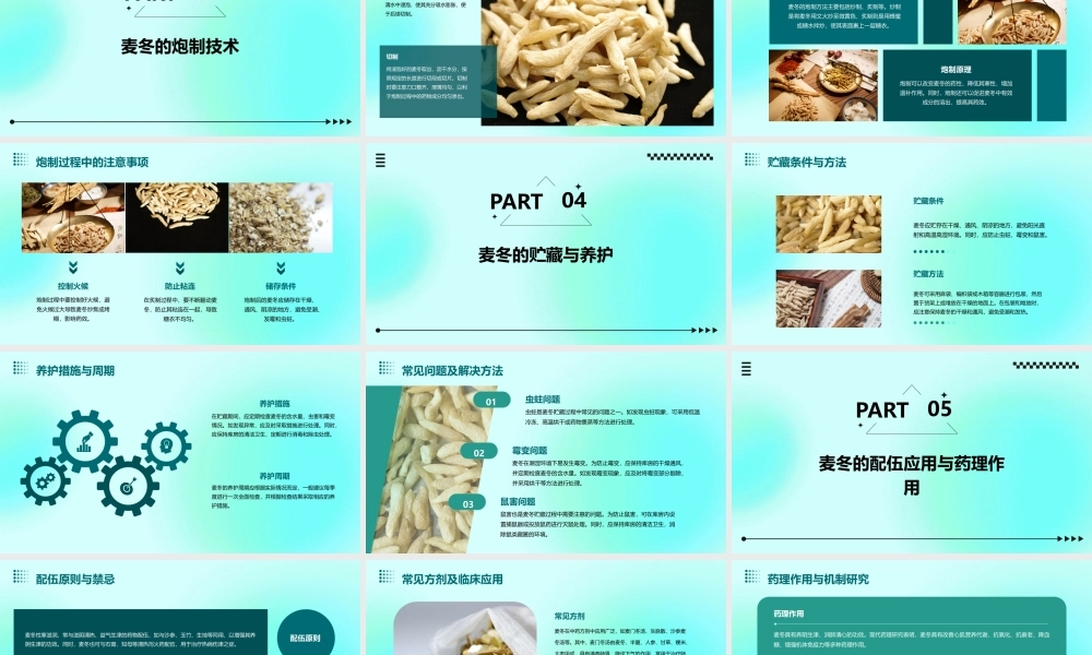 中药炮制技术之麦冬护理课件
