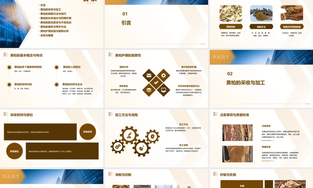 中药炮制技术之黄柏护理课件