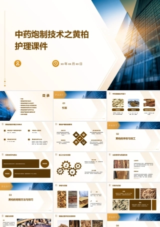 中药炮制技术之黄柏护理课件