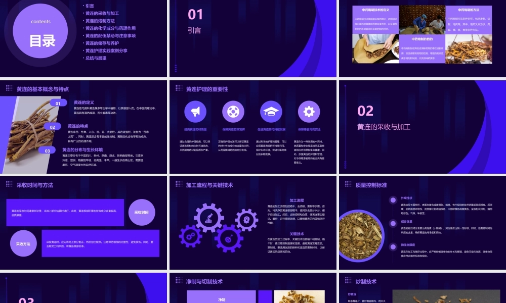 中药炮制技术之黄连护理课件