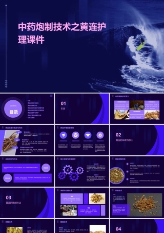 中药炮制技术之黄连护理课件