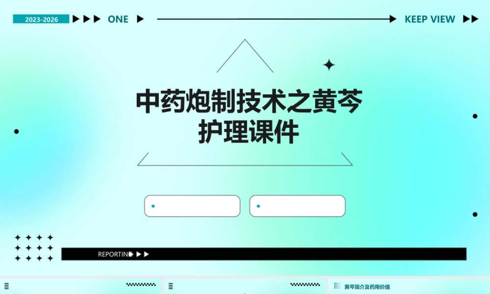 中药炮制技术之黄芩护理课件