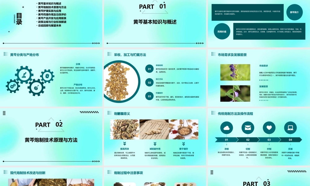 中药炮制技术之黄芩护理课件
