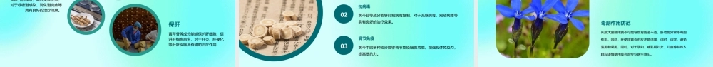 中药炮制技术之黄芩护理课件