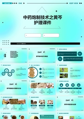 中药炮制技术之黄芩护理课件