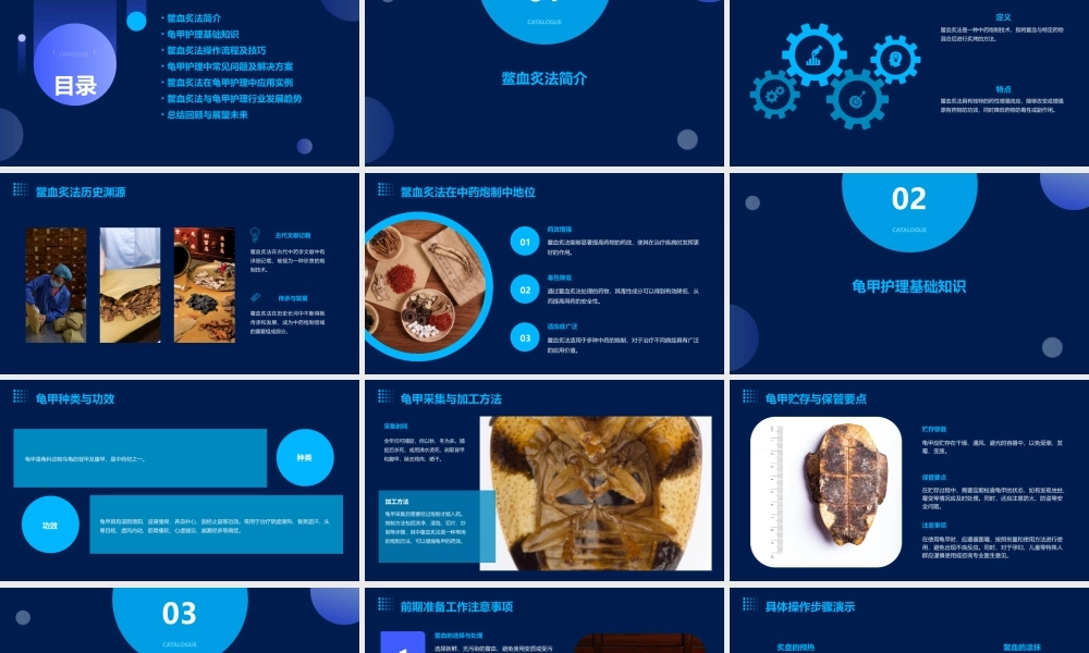 中药炮制技术之鳖血炙法—龟甲护理课件