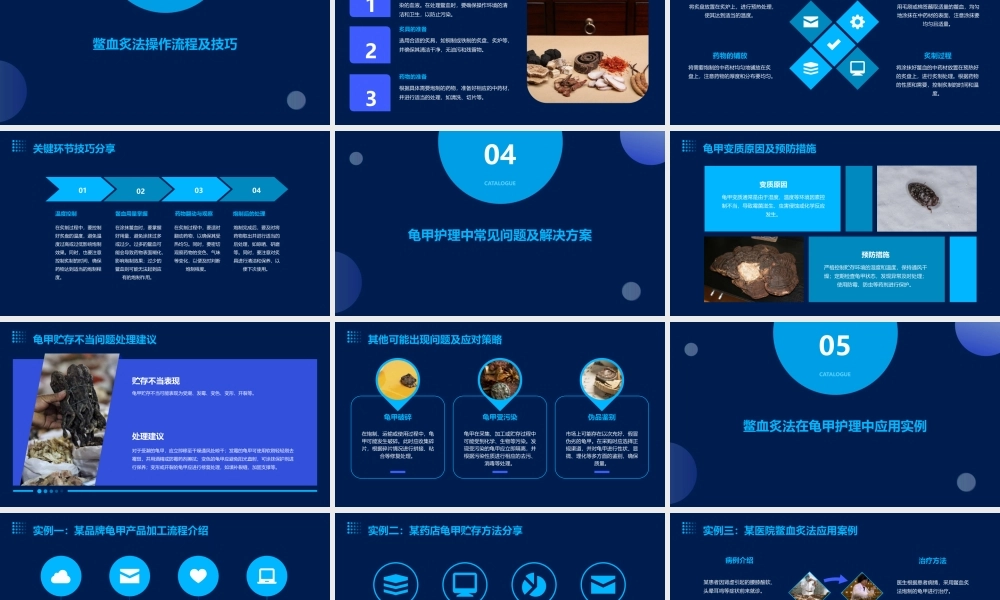 中药炮制技术之鳖血炙法—龟甲护理课件