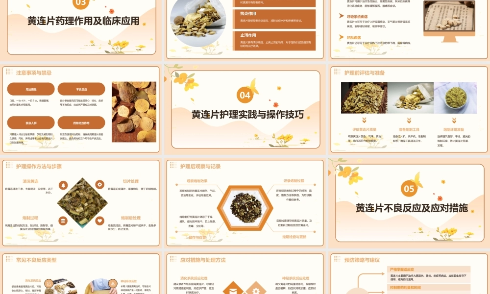 中药炮制技术之黄连片护理课件