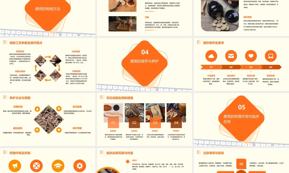 中药炮制技术之鹿茸护理课件