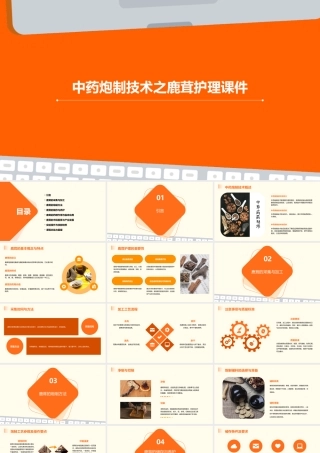 中药炮制技术之鹿茸护理课件