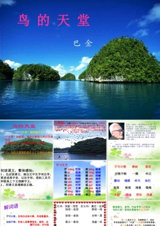 《鸟的天堂》课件 (4)