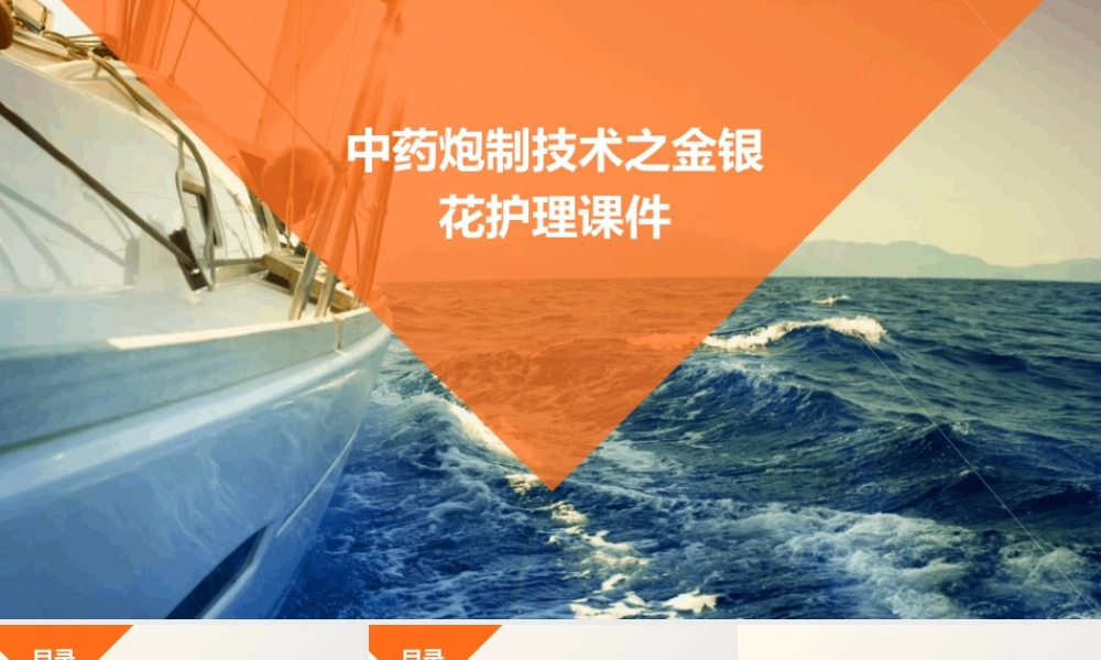 中药炮制技术之金银花护理课件