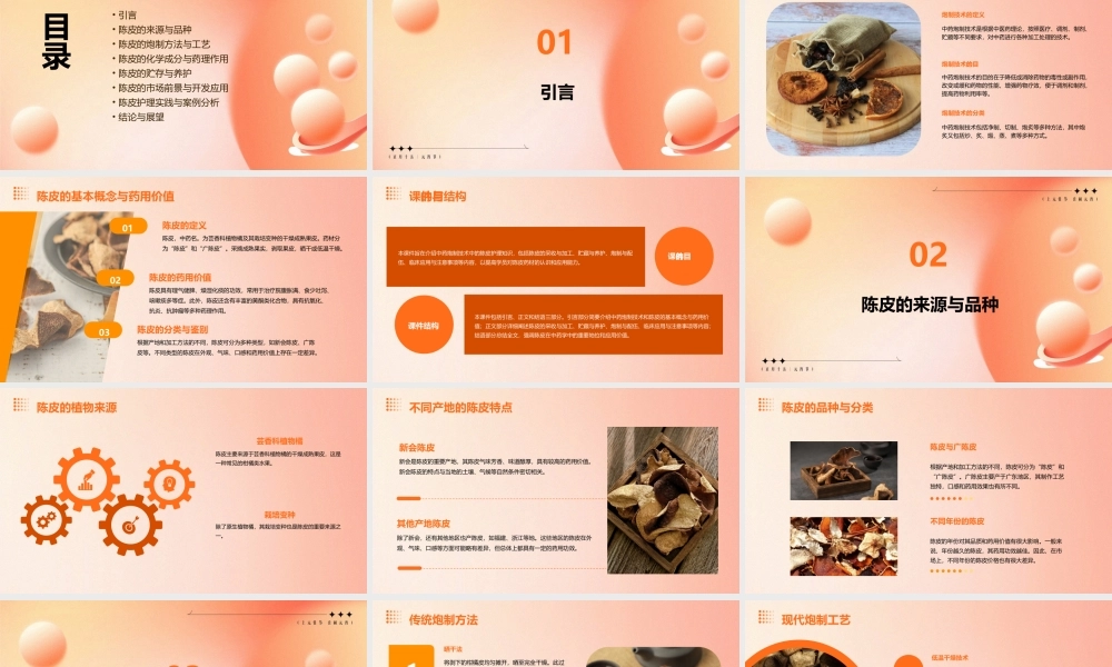 中药炮制技术之陈皮护理课件