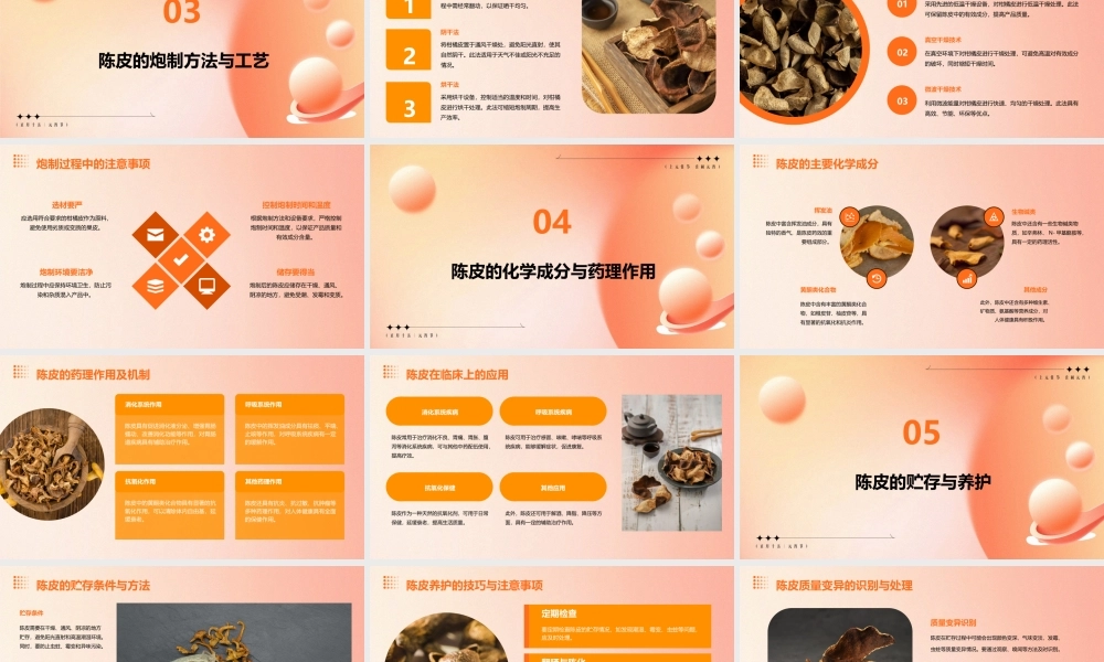 中药炮制技术之陈皮护理课件