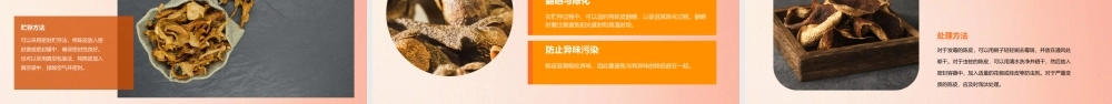 中药炮制技术之陈皮护理课件