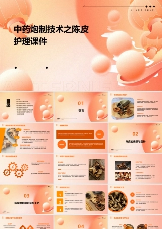 中药炮制技术之陈皮护理课件