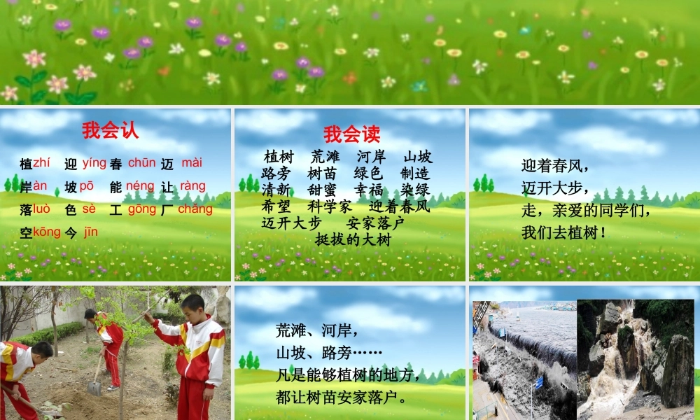 《我们去植树》教学课件（基础学习）