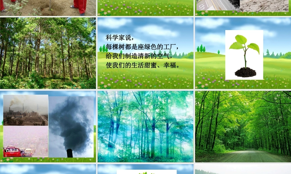 《我们去植树》教学课件（基础学习）