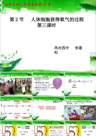 人体细胞获得氧气的过程