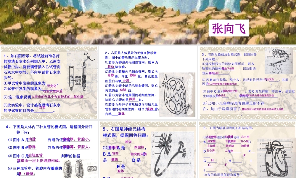 初二生物下册填图专题