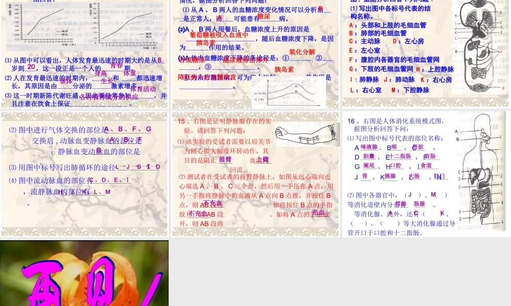 初二生物下册填图专题