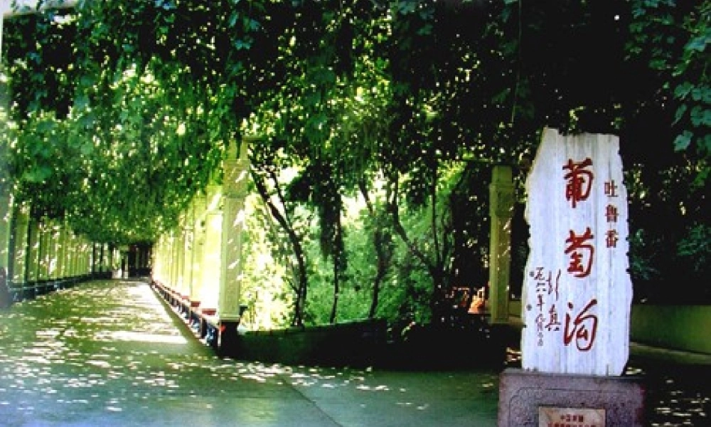 岳仲梅三年级上册《葡萄沟》