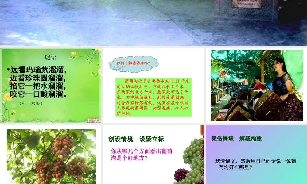 岳仲梅三年级上册《葡萄沟》