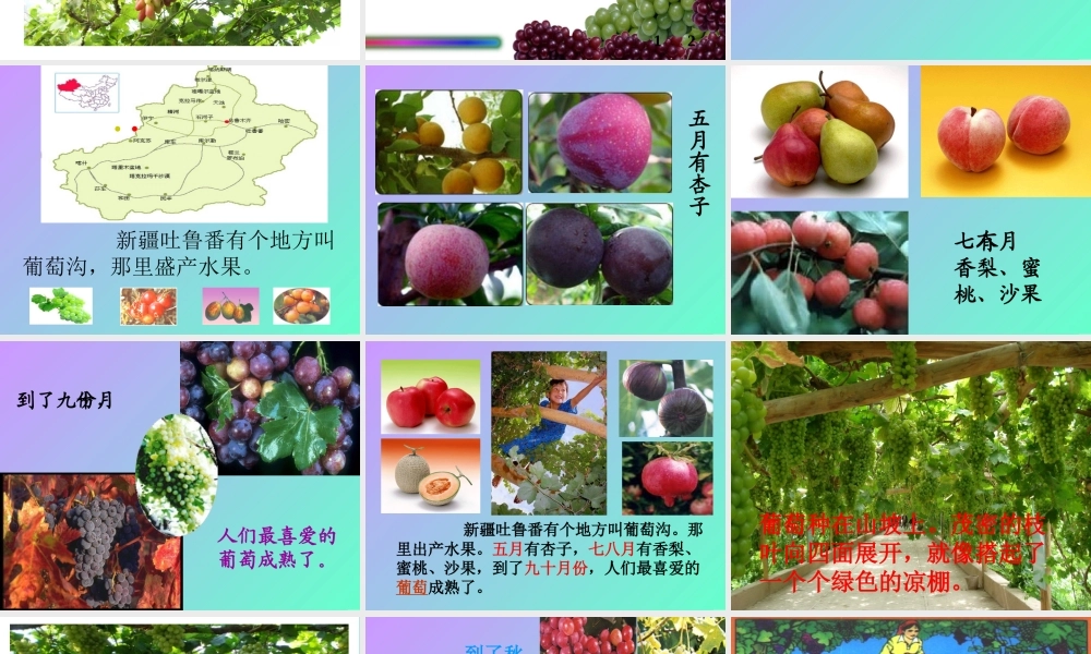 岳仲梅三年级上册《葡萄沟》