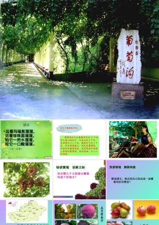 岳仲梅三年级上册《葡萄沟》