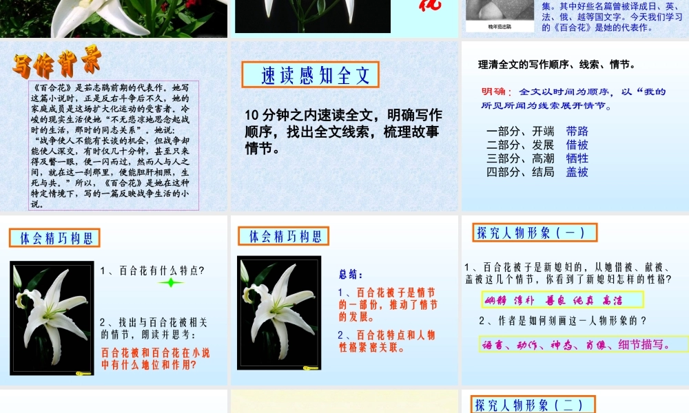 百合花课件 (2)