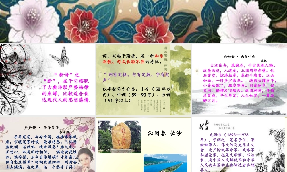 高中一年级语文必修1第一单元1沁园春·长沙课件