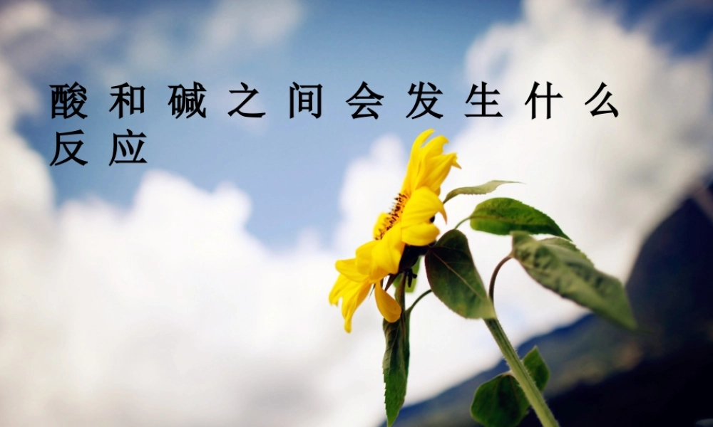 酸和碱会发生什么反应-说课