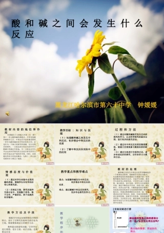 酸和碱会发生什么反应-说课