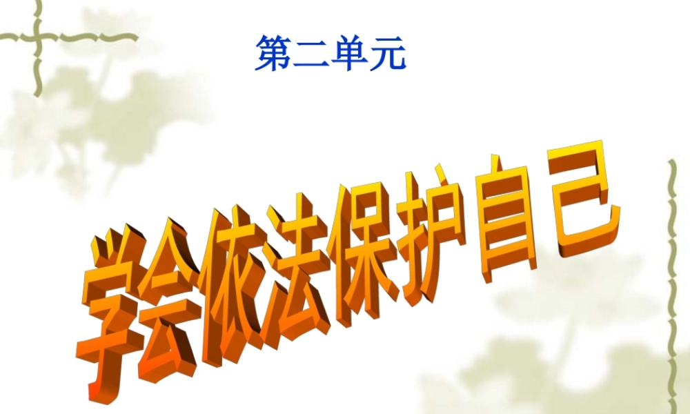 初二政治教学课件
