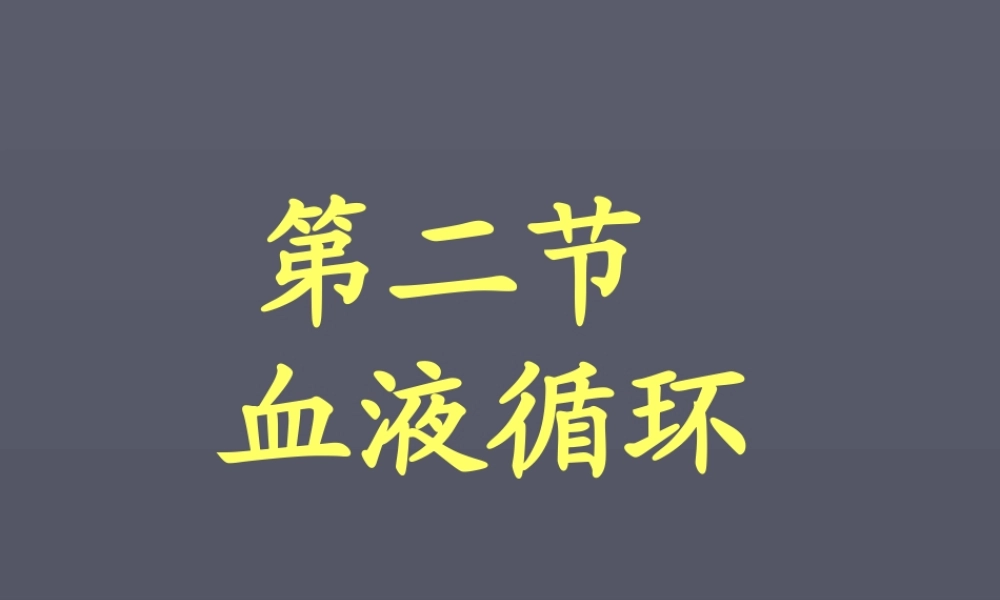《血液循环》课件3