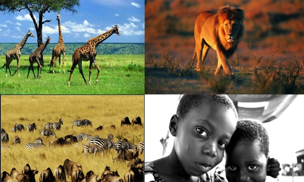 撒哈拉以南非洲（一课时）