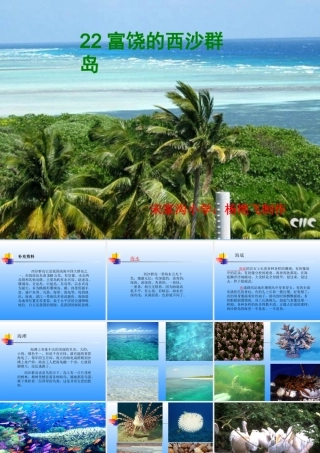 《富饶的西沙群岛》课件 (4)